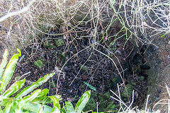 Coppet Hill limekiln, January 2019