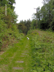 Howlerslade Tramroad, May 2007