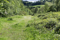 Lower Lydbrook Tinplate Works incline, May 2019