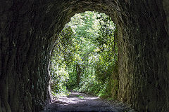 
Coles Rock tunnel looking South, May 2019