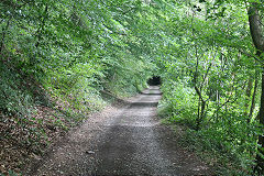 
Coles Rock trackbed loooking south towards tunnel, August 2020