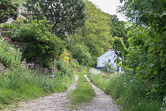 
The Severn & Wye Tramroad at Lower Lydbrook, May 2019