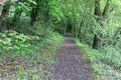 
The Severn & Wye Tramroad at Lower Lydbrook, May 2019