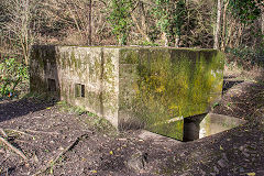 Lydbrook Tunnel pillbox, January 2019
