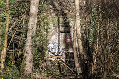 Lydbrook Tunnel Southern portal, January 2019