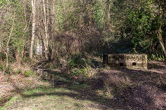 Lydbrook Tunnel and pillbox, January 2019
