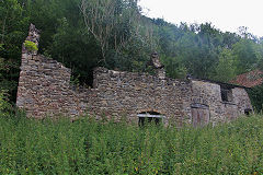 
Waterscross Farm, Lydbrook, August 2020