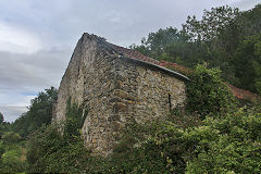 
Waterscross Farm, Lydbrook, August 2020