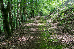 
The route of the Severn & Wye Tramroad, May 2019