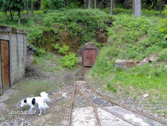 
Phoenix Colliery, Barnhill Plantation, Northeast of Bixslade, May 2007