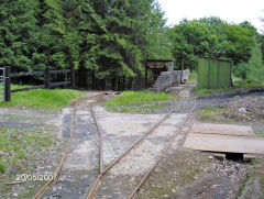 Phoenix Colliery, Barnhill Plantation, Northeast of Bixslade, May 2007