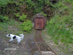 
Phoenix Colliery, Barnhill Plantation, Northeast of Bixslade, May 2007