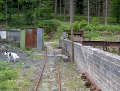 
Phoenix Colliery, Barnhill Plantation, Northeast of Bixslade, May 2007