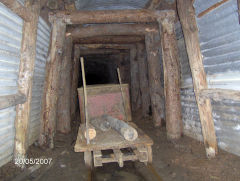 Phoenix Colliery, Barnhill Plantation, Northeast of Bixslade, May 2007