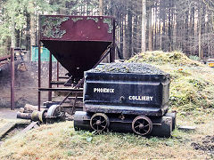 Phoenix Colliery, Barnhill Plantation, Northeast of Bixslade, January 2022