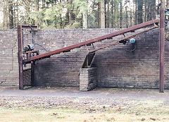 Phoenix Colliery, Barnhill Plantation, Northeast of Bixslade, January 2022