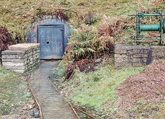 Phoenix Colliery, Barnhill Plantation, Northeast of Bixslade, January 2022