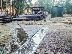 
Phoenix Colliery, Barnhill Plantation, Northeast of Bixslade, January 2022