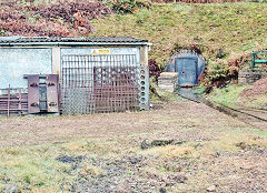 Phoenix Colliery, Barnhill Plantation, Northeast of Bixslade, January 2022