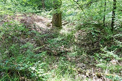 
Plud's Colliery tramway down to the S&WR,  Lydbrook, May 2019