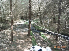 
Concrete watercourses running through Sallowvallets, July 2007