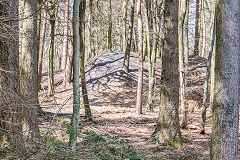 
Possibly the tips of New Thatch Colliery or nearby, April 2016