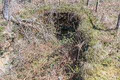 
Level to the East of New Thatch Colliery, April 2016