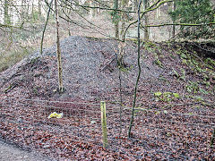 Monument Colliery tips, Bixslade, January 2022
