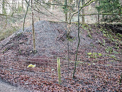 
Monument Colliery tips, Bixslade, January 2022