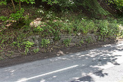 The Arthur & Edward (Waterloo) Colliery 'creeper' crossing the Lydbrook road, May 2019