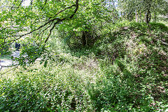 
The Arthur & Edward (Waterloo) Colliery 'creeper' at Mierystock, May 2019