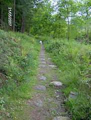 
Wimberry Tramroad, May 2007