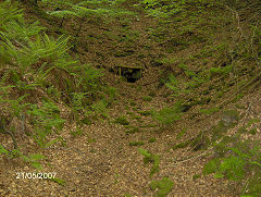 
Wimberry Tramroad, May 2007