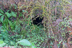 
Howbeach Colliery level, just above the shaft, November 2018