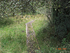 Morses Level, Howbeach, August 2007