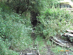 Morses Level, Howbeach, August 2007