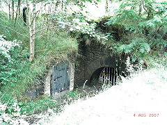 Morses Level, Howbeach, August 2007