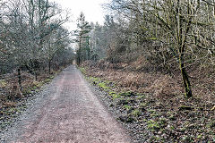 
Serridge Junction, Lydney to the left, Lydbrook to the right, January 2020