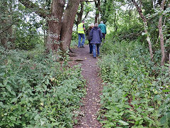 New Pit tip, part of Yate No 2 Pit, June 2022
