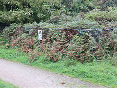 
Samson's Shaft beside the Basset Tramway, September 2023