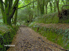 Colcerrow quarry tramway, October 2005