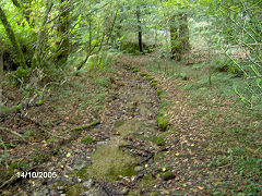 Colcerrow quarry tramway, October 2005