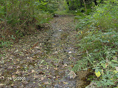 
Colcerrow quarry tramway, October 2005