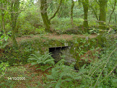 Colcerrow quarry tramway, October 2005