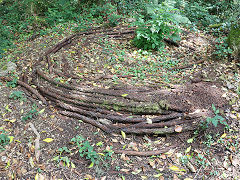 Carmears incline cable at the smithy, June 2023