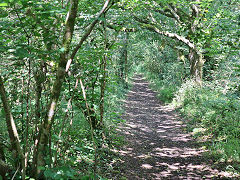 Carmears tramway north of the viaduct, June 2023