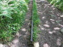 Carmears tramway rail, June 2023