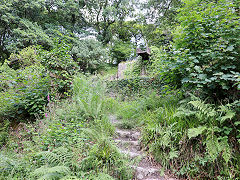 Carmears Waterwheel, June 2023