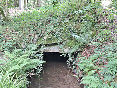 Carmears Waterwheel outlet leat, June 2023