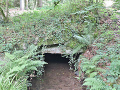 
Carmears Waterwheel outlet leat, June 2023